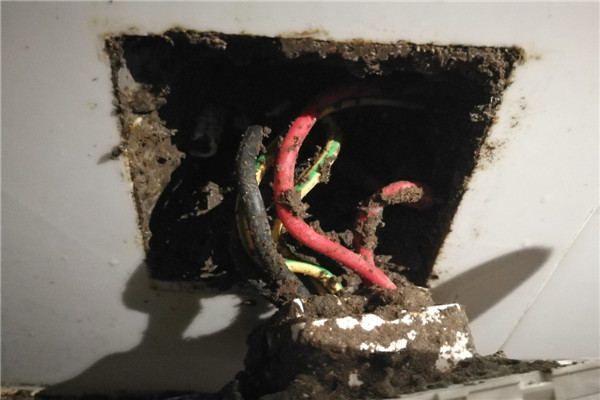 ݸϷĵ绰-ݸǰϺ޹˾